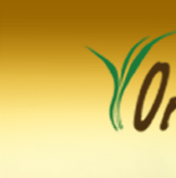 header01